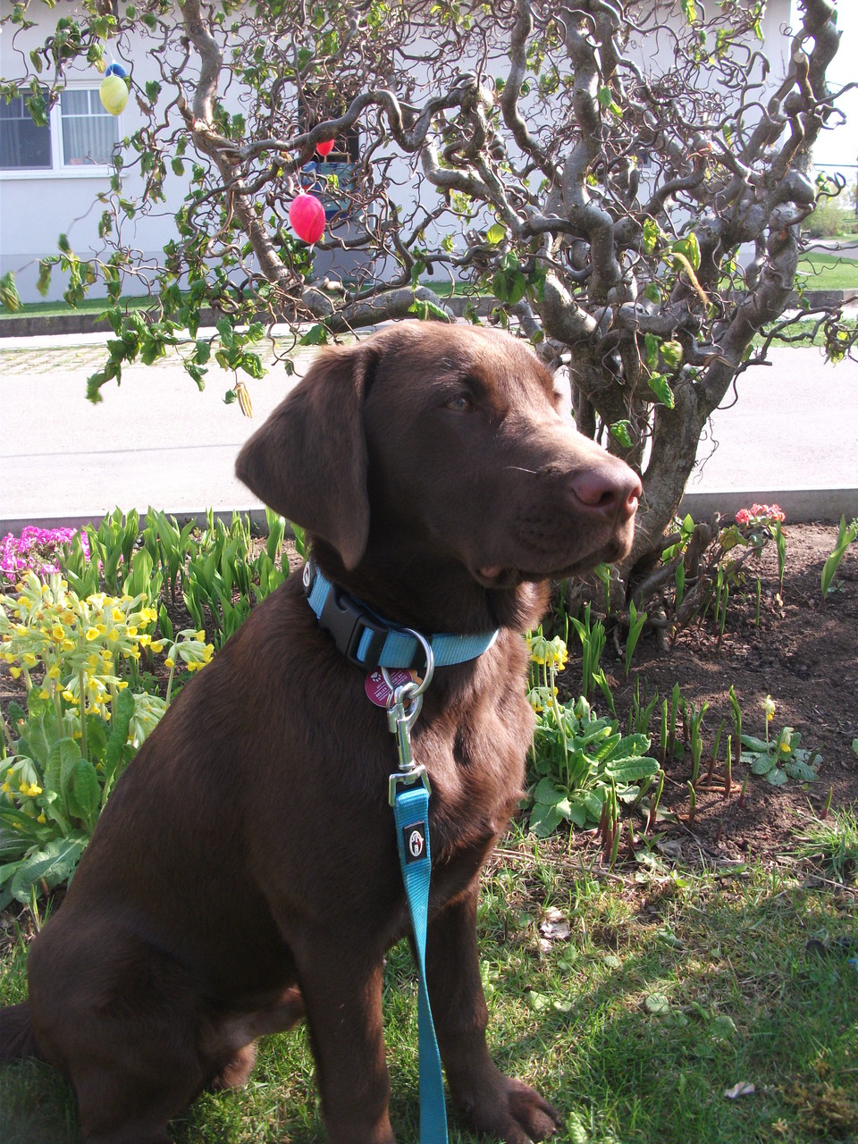 Balu April 2014