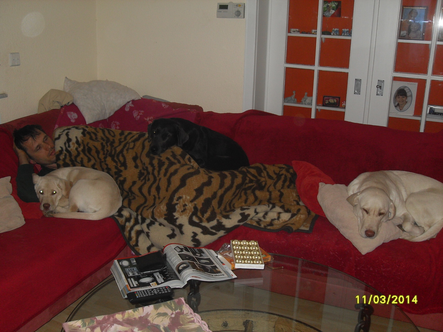 11.3.2014 Baghira ~ Uwe ~ Luna ~ Jessie