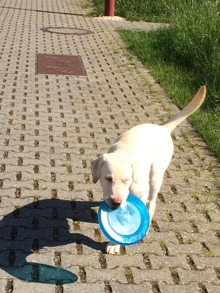 19 Mai 2014 Bailey