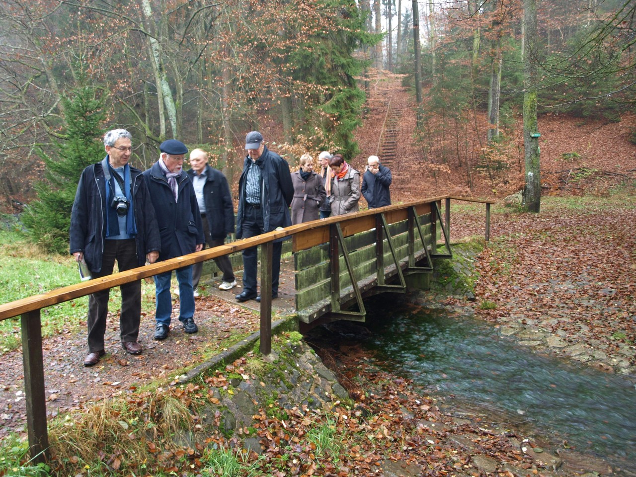 Balade en forêt.