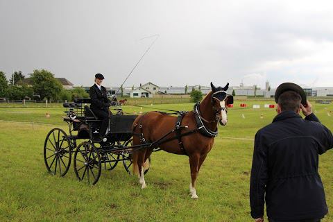 Fahrlizens 2013