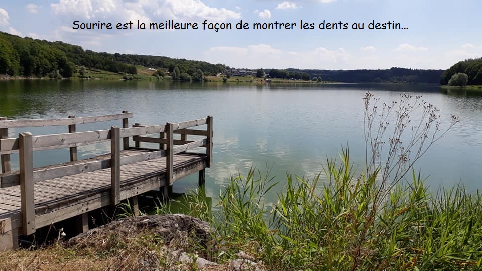 Les Anges