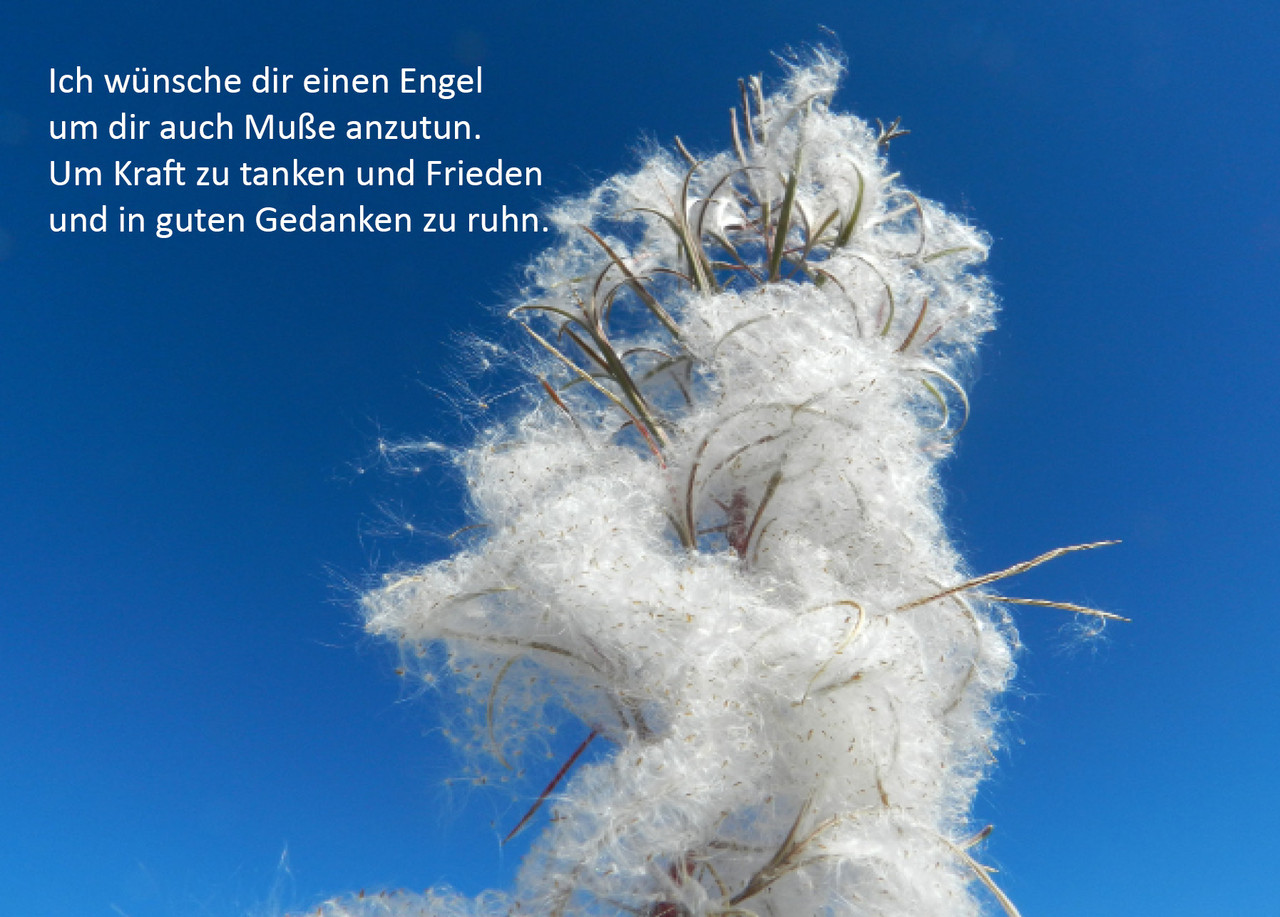 48++ Ich wuensche dir einen engel spruch information