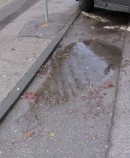 Stolperfalle vor Eingang Schwimmhalle Jahnstraße