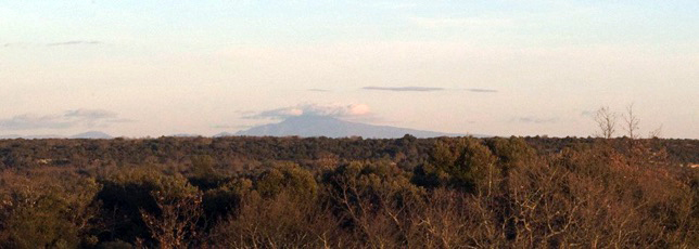 Vue sur le Mont Ventoux