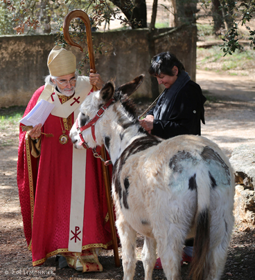 Max accompagne la procession