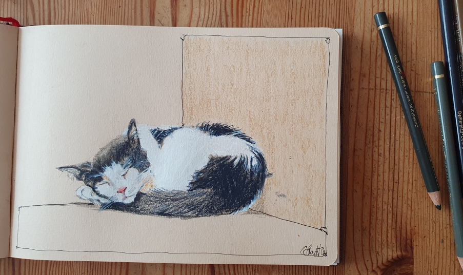Siesta