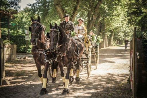 Hochzeitsplaner Berlin und Brandenburg - Mittelalter Hochzeit - Hochzeitskutsche