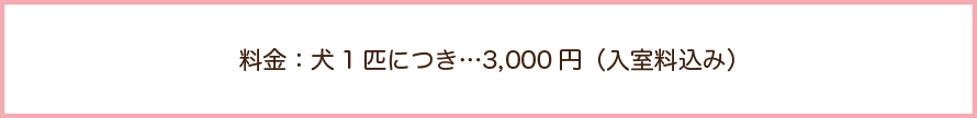 しつけ教室の料金は、犬１匹につき3000円ですの文字