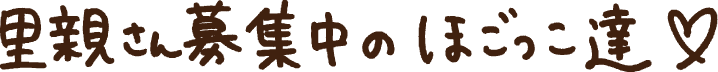 里親さん募集中のほごっこたちの文字