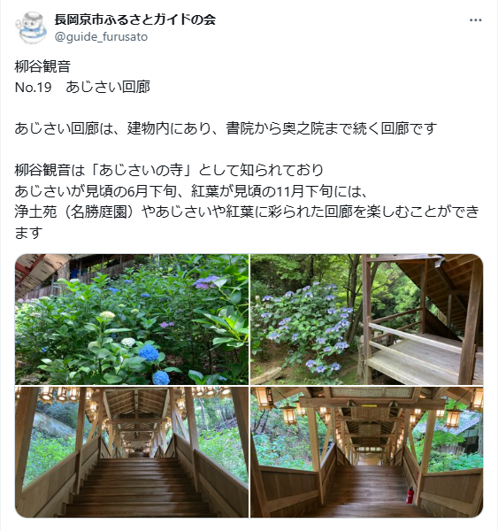 7月25日投稿