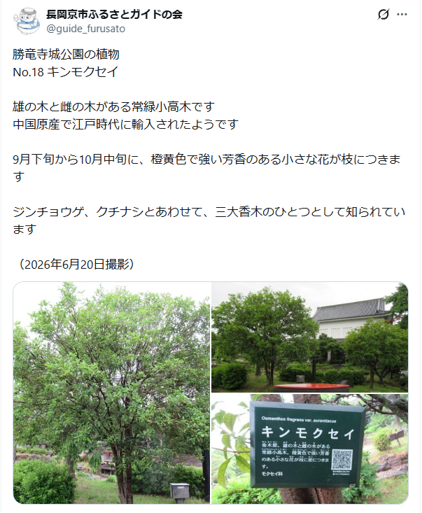 6月26日投稿