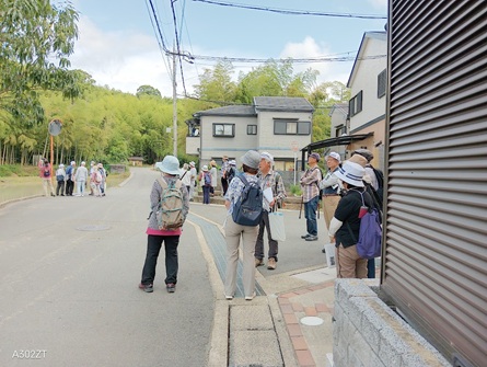 写真４．孟宗竹
