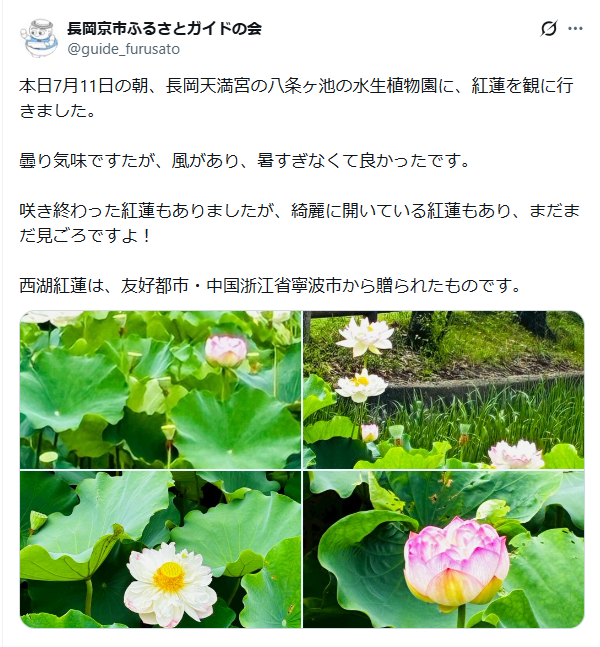 7月11日投稿