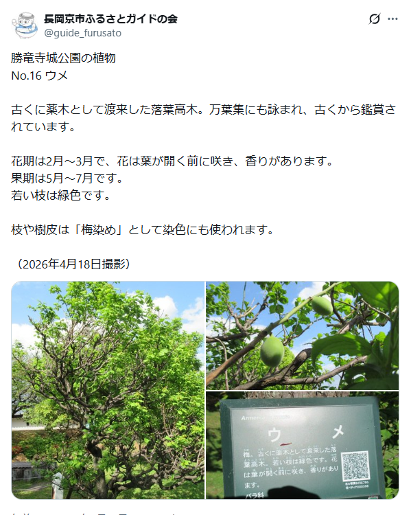 6月19日投稿