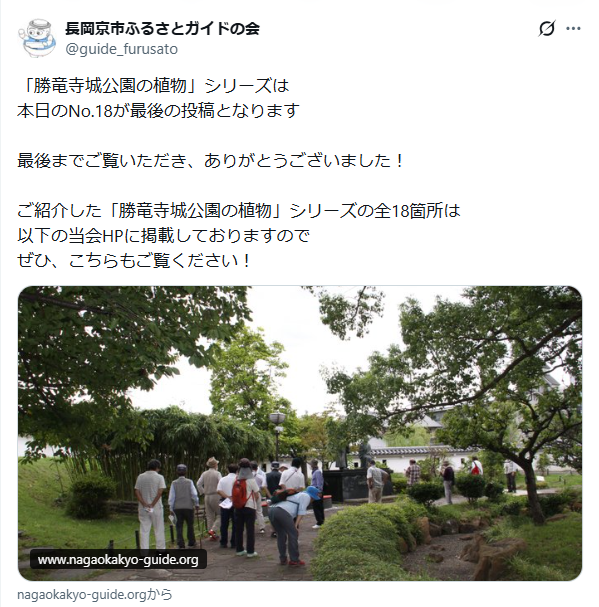 6月26日投稿