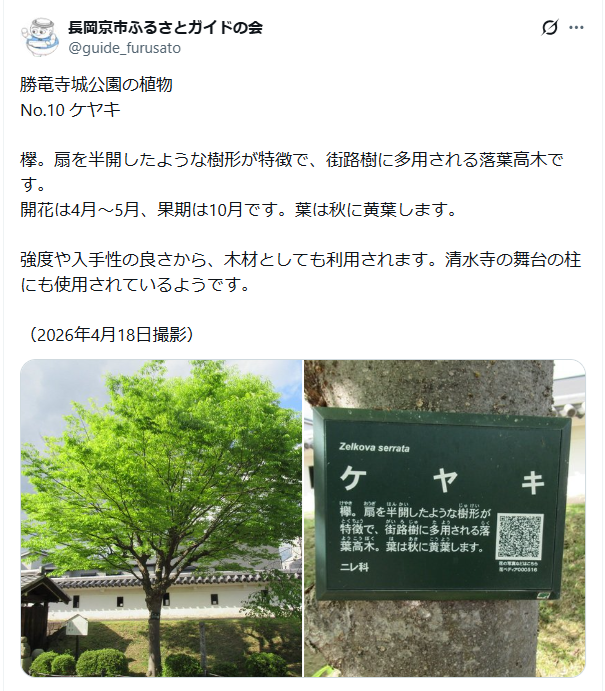 5月29日投稿
