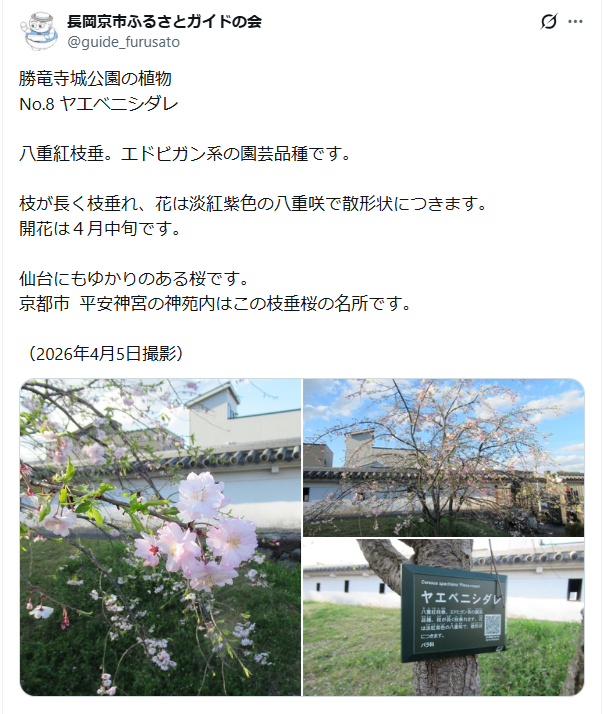 5月22日投稿