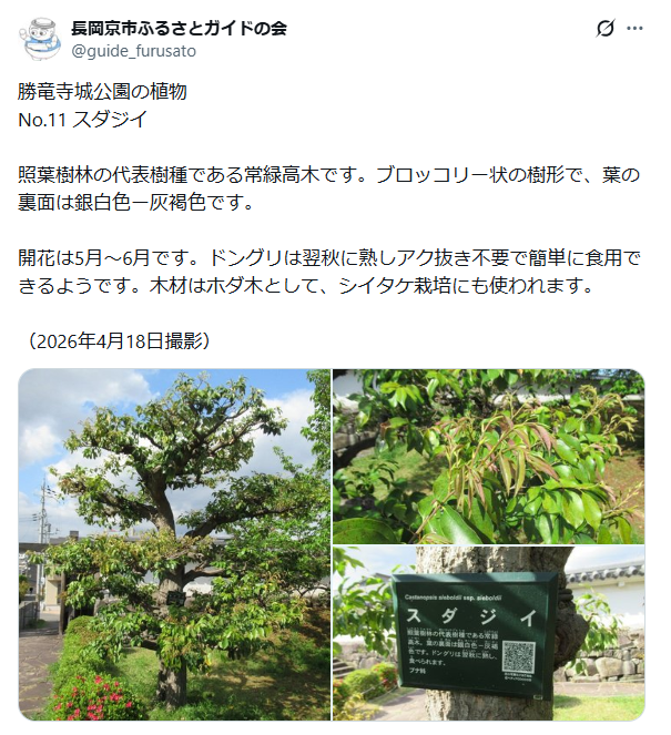 6月2日投稿
