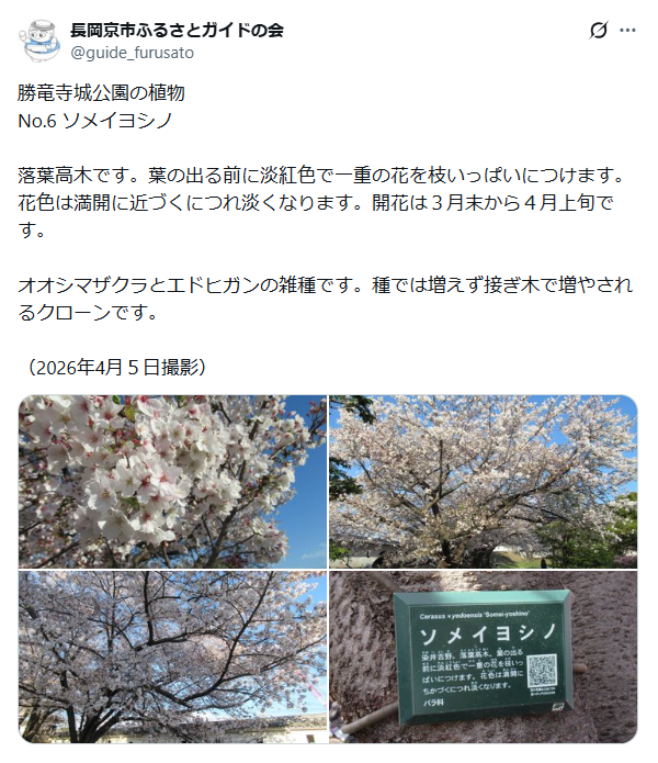 5月15日投稿