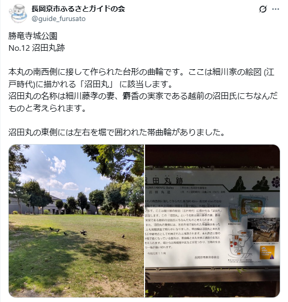 10月17日投稿