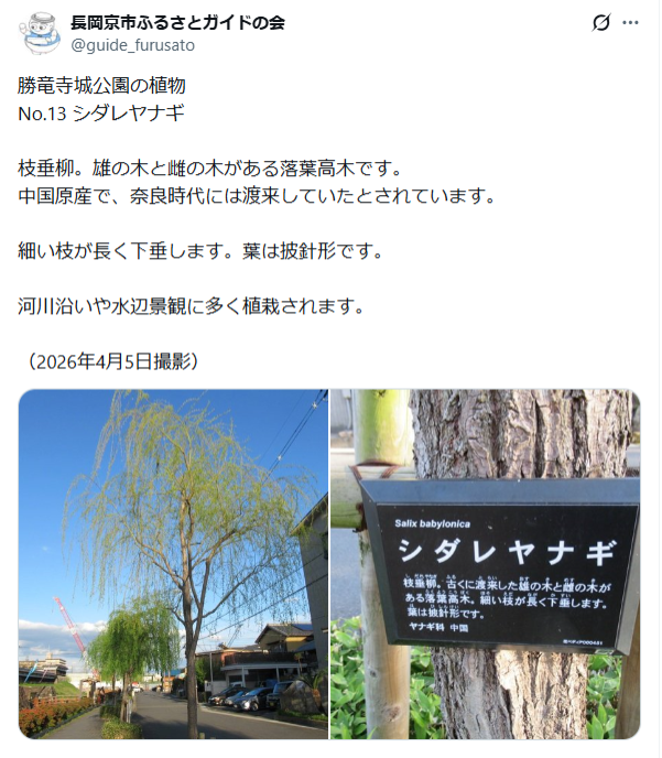 6月9日投稿