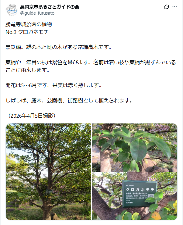 5月26日投稿