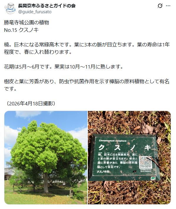 6月16日投稿