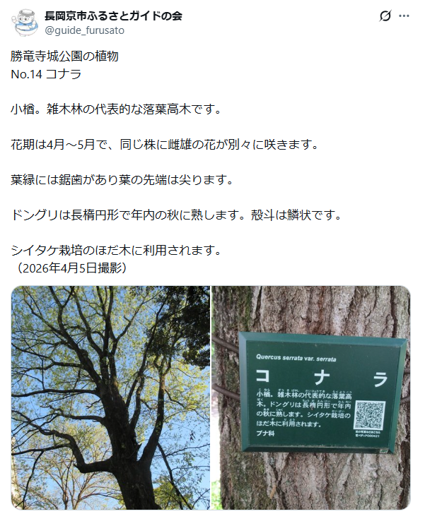 6月12日投稿