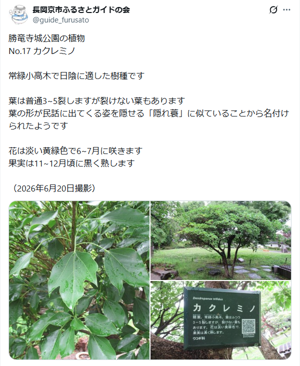 6月23日投稿