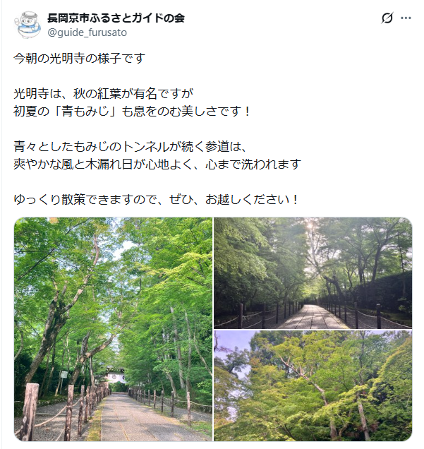 6月13日投稿