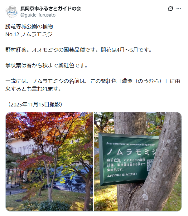6月5日投稿