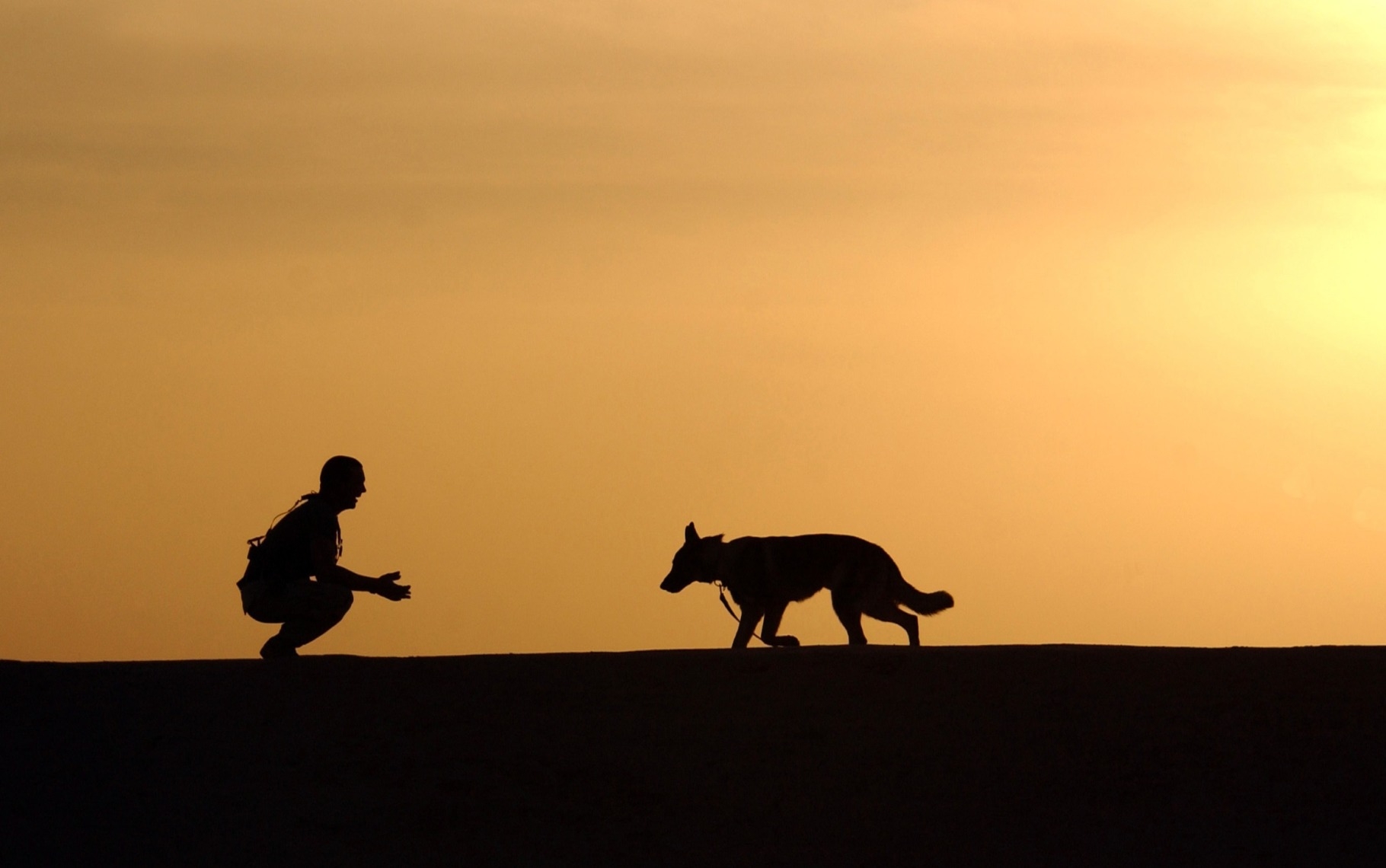 Mann Vertrauen mit Hund bei Sonnenuntergang