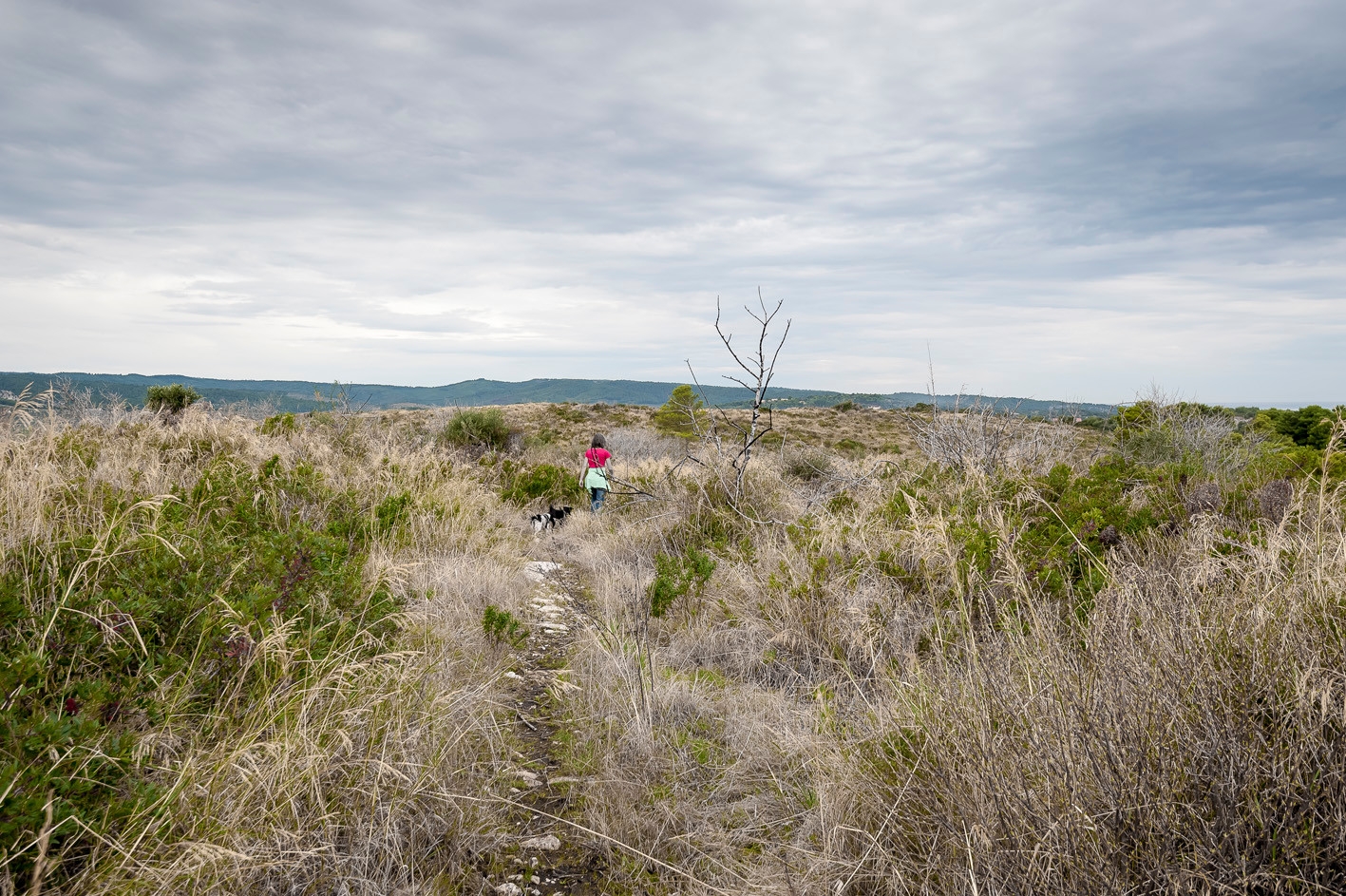 Landschaft, Mensch mit Hunden
