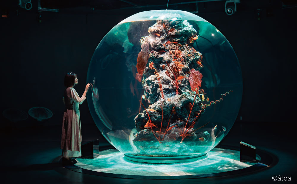 海の記憶を観て未来を学ぶイマーシブ・ナイト