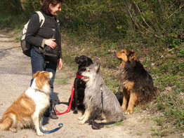 Hundetrainerin Wanda mit Shandor, Loulou, Bilbo und Sultan