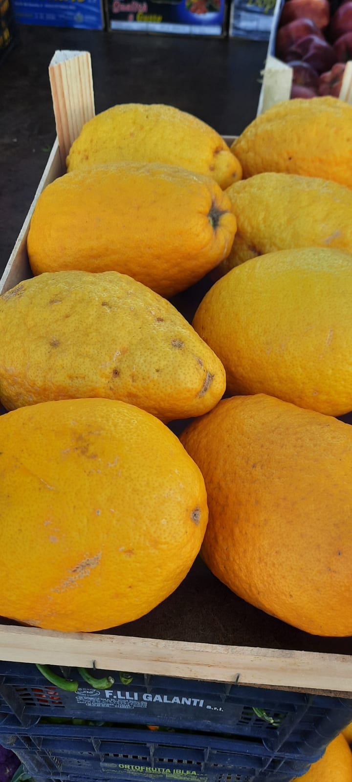 Cedro - herrlich schmackhafte Zitronen