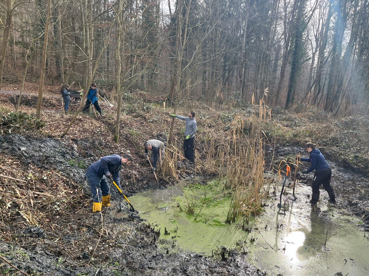Bild: NABU-Weinstadt, M. Kopetzky