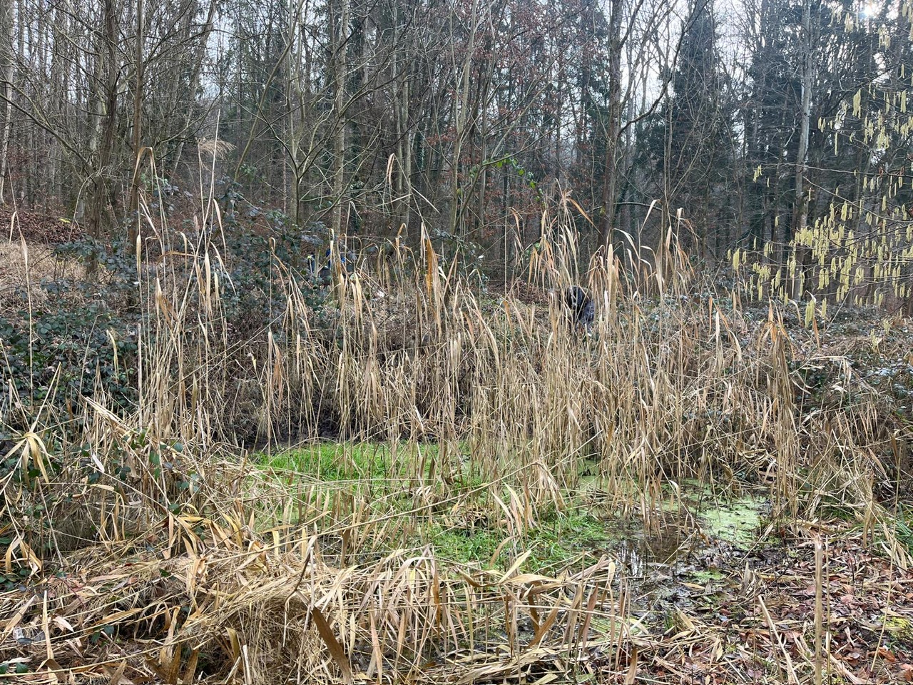 Bild: NABU-Weinstadt, M. Kopetzky