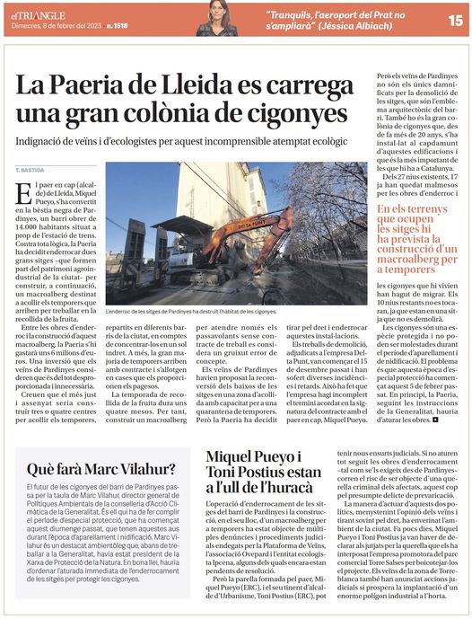 La Paeria de Lleida es carrega una gran colònia de cigonyes