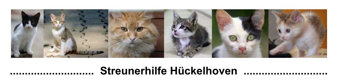 streunerhilfe-hueckelhovens Webseite!