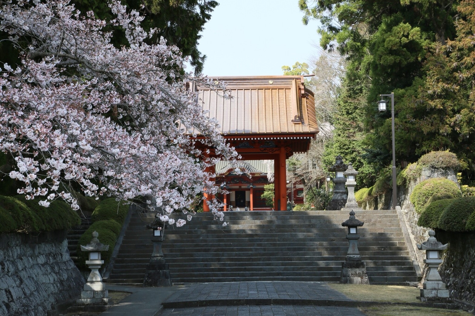 Amazon.co.jp: 日蓮正宗大宣寺創立二十五周年記念!! 日蓮大聖人