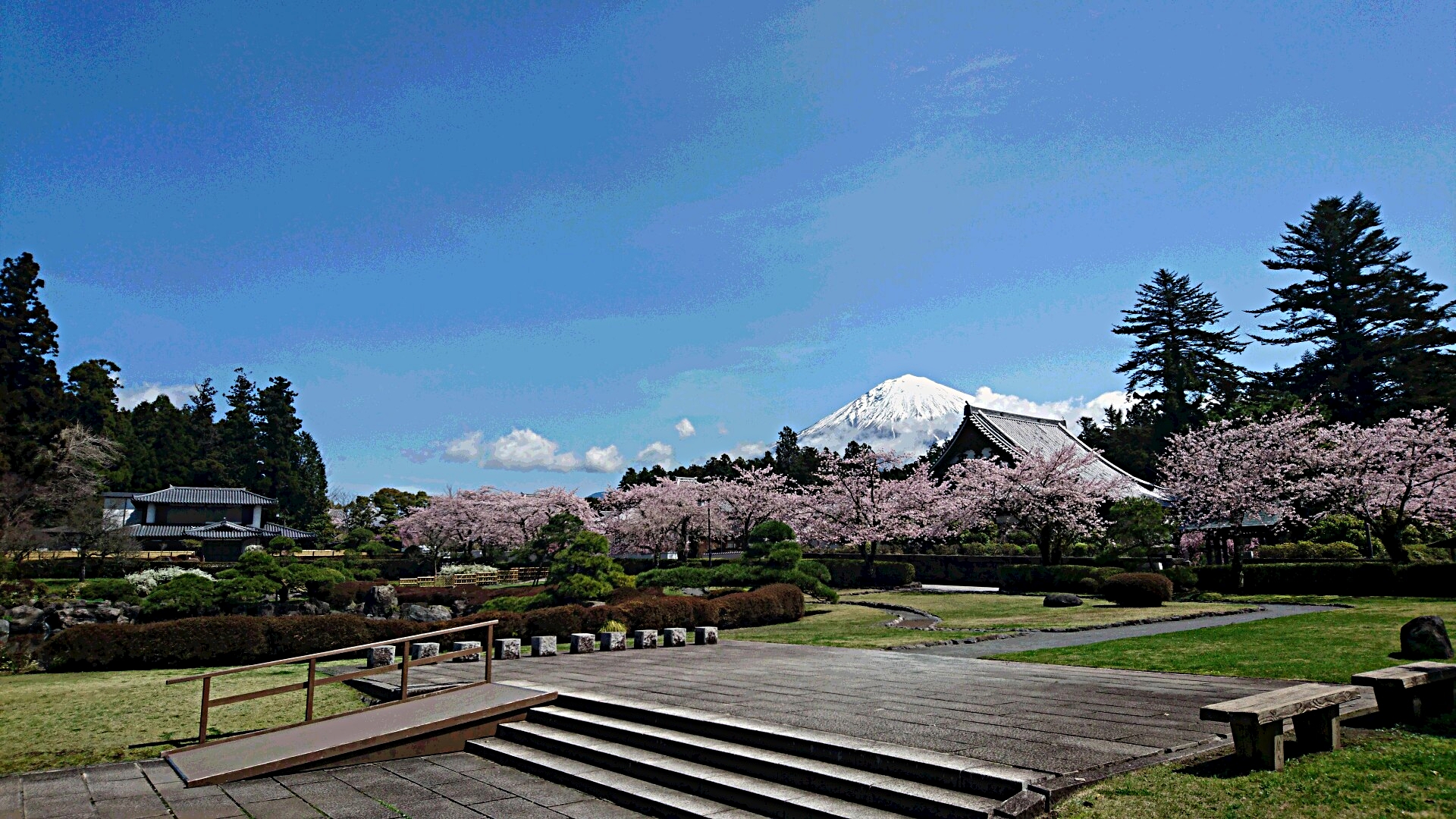 仙台法難史私考 坂和夫/日蓮正宗 大石寺/平成11年6月発行 人文、社会 仙台法難史私考 坂和夫/日蓮正宗 大石寺/平成11年6月発行 人文、社会