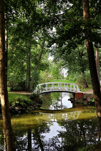 Palanga