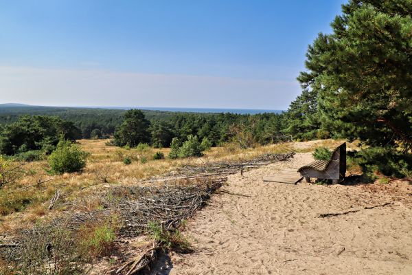 Kurische Nehrung - Dünen