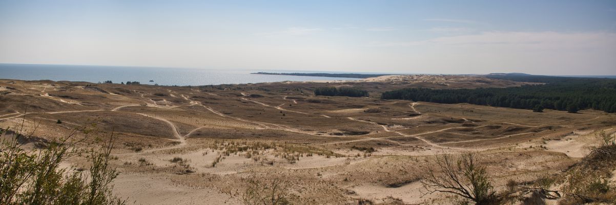 Kurische Nehrung - Dünen