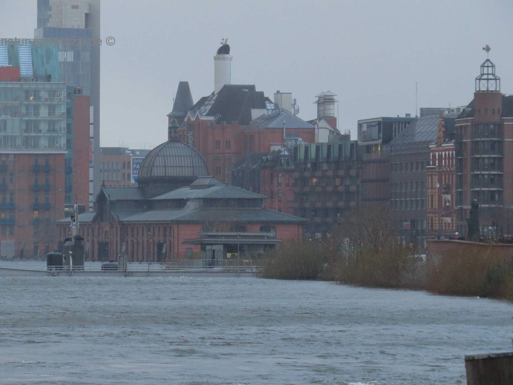 Hochwasser im Hamburger Hafen. Die Fischauktionshalle steht im Wasser.