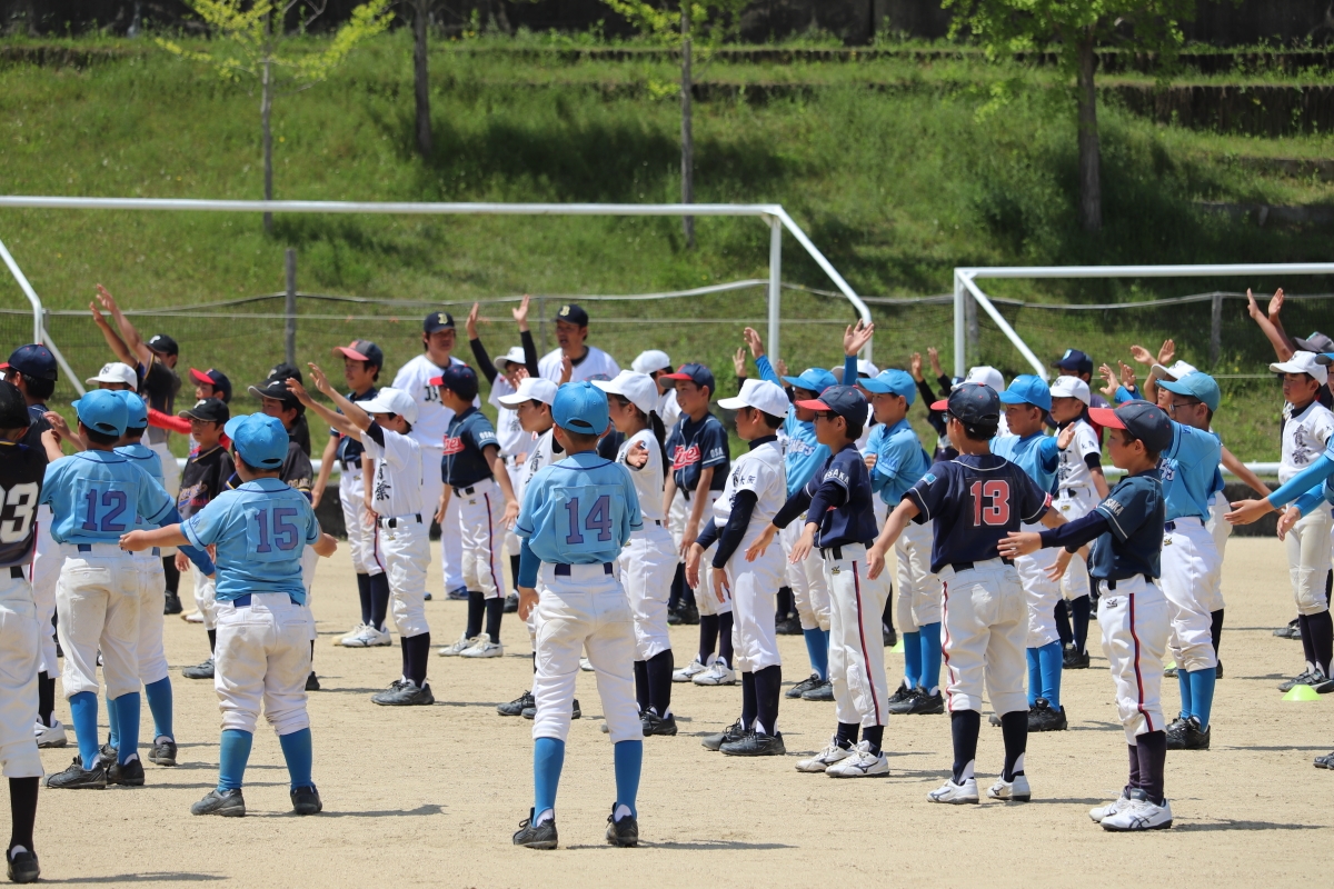 ギャラリー 美加の台ファイアーズ