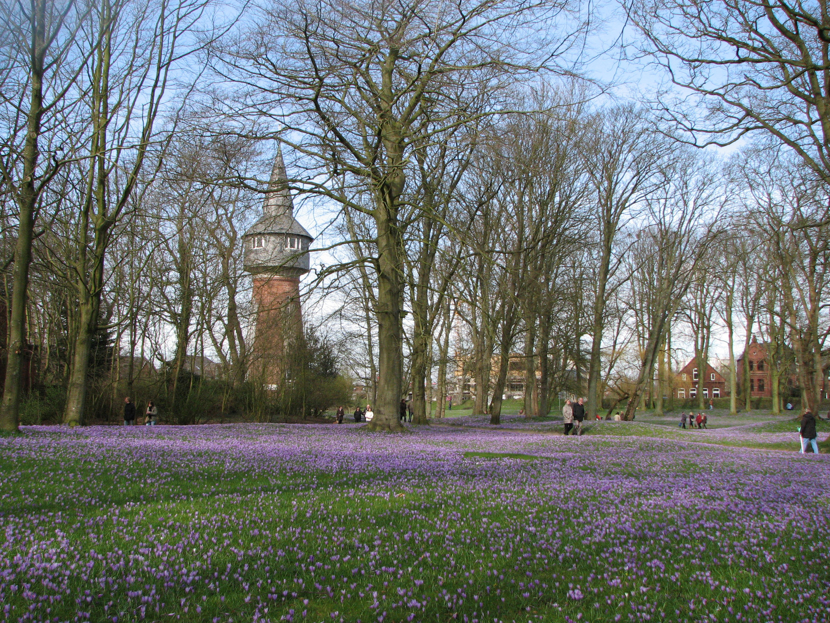 Schloßpark - Husum