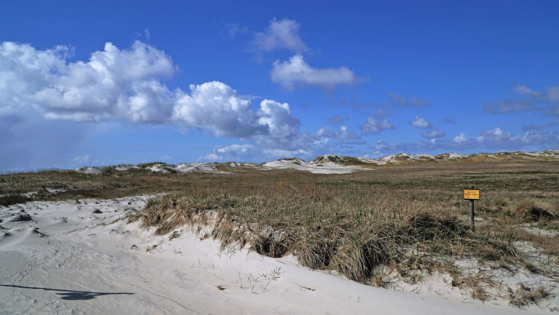 Dünen - St. Peter-Ording